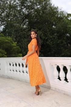 VESTIDO STELLA